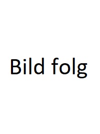 Bild folgt.jpg